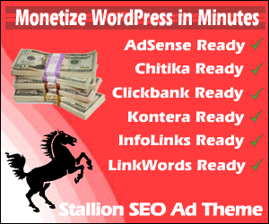 Stallion SEO Ad Theme